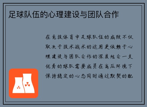 足球队伍的心理建设与团队合作