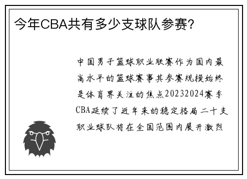 今年CBA共有多少支球队参赛？