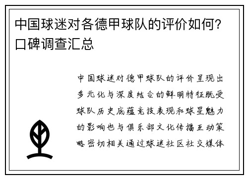 中国球迷对各德甲球队的评价如何？口碑调查汇总